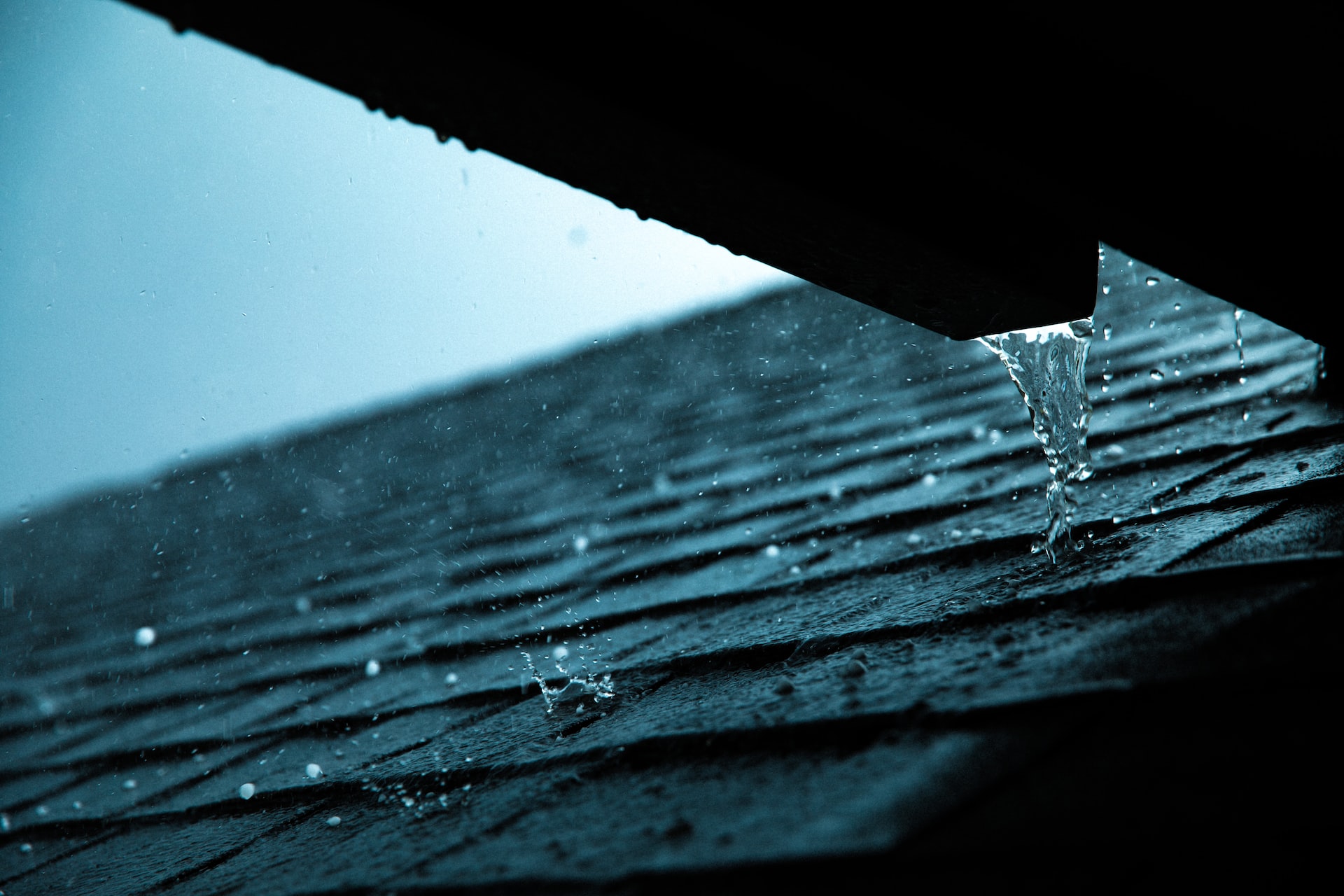 What to Do When Roof is Leaking: A Step-by-Step Guide